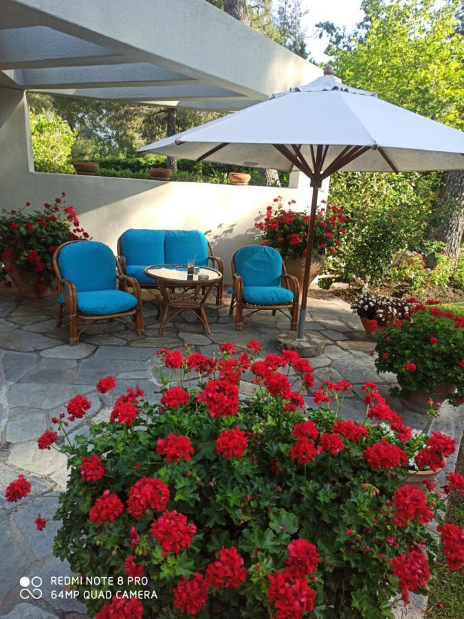 Sani Villa Maria מראה חיצוני תמונה